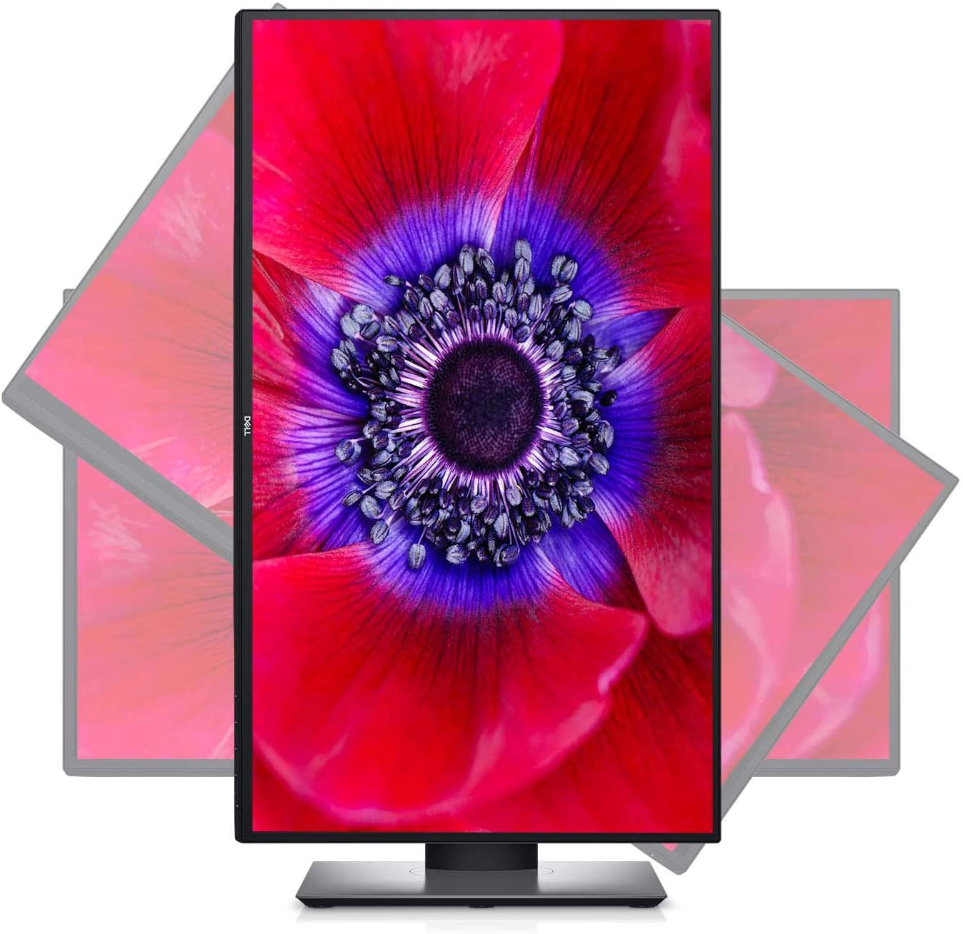 Dell U2520D, 25 Zoll, QHD 2560 x 1440, 60 Hz, IPS entspiegelt, 16:9, 5 ms extrem